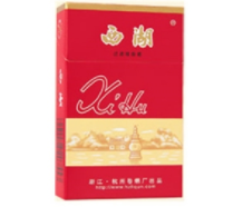 放鞭炮和烟花英文怎么说_放鞭炮和烟花英文怎么说呢